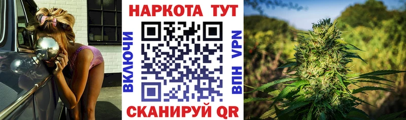 Как найти закладки Елизово Кодеин  Меф мяу мяу  блэк спрут сайт  Каннабис 