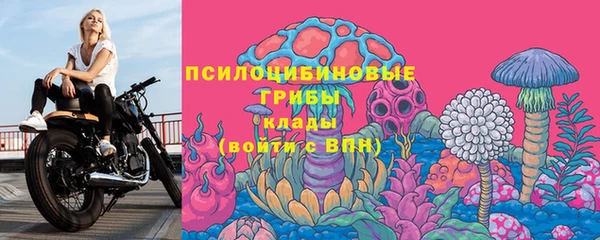 амф Алзамай