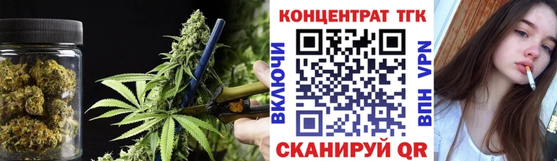 где купить Елизово ТГК жижа