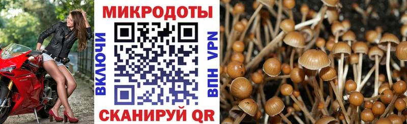 Псилоцибиновые грибы MAGIC MUSHROOMS  где продают наркотики  kraken зеркало  Елизово 