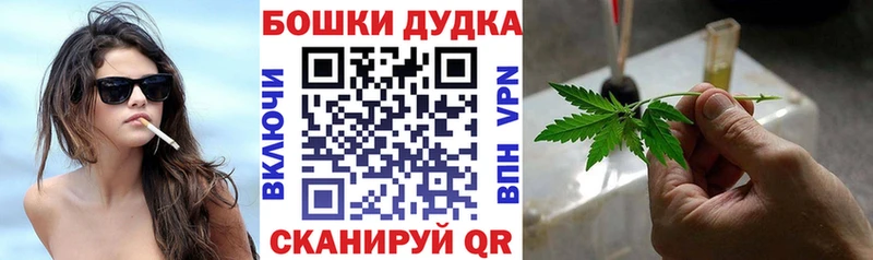 Бошки марихуана White Widow  даркнет официальный сайт  Елизово  сколько стоит 